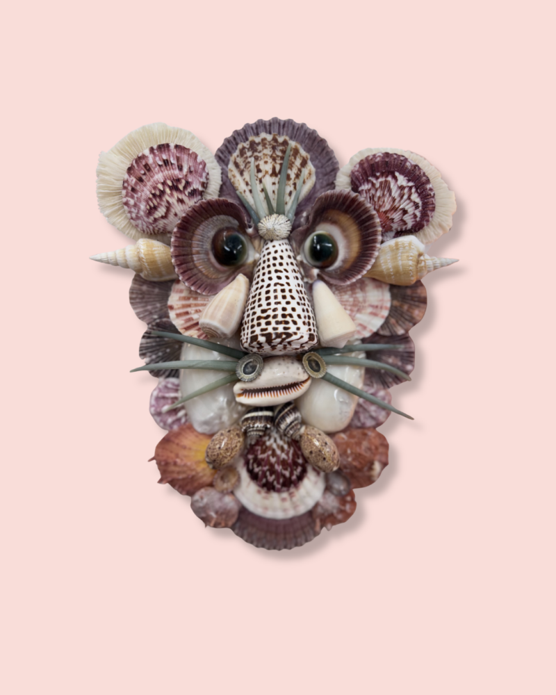 Monkey Face Shell Monkey Face Shell Art – Delray Vintage
